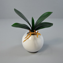 �߶ȷ��控��횺����m�~ �����m�辰�廨�Ҿ�ͥԺ���^�����仨