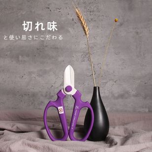 Japan Sakayama Flower Shears Floral Shears Gardening Branch Shears Florist Tools