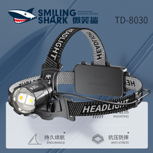 Outdoor lighting double light sensing head lamp charging