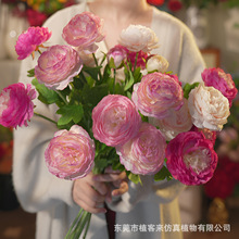 仿真高端3头千姿露莲洋牡丹仿真花居家婚庆装饰高级感假花束批发