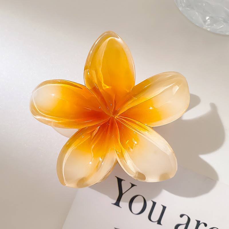 Simple flor grande clip de pelo femenino verano temperamento espalda Cabeza pelo agarre elegante updo pelo clip tocado horquilla accesorios para el cabello image 18