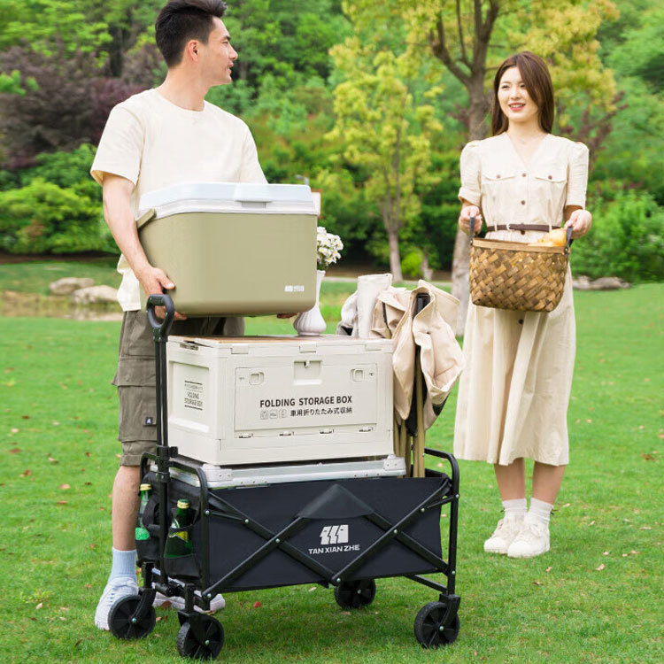 Explorer Cart