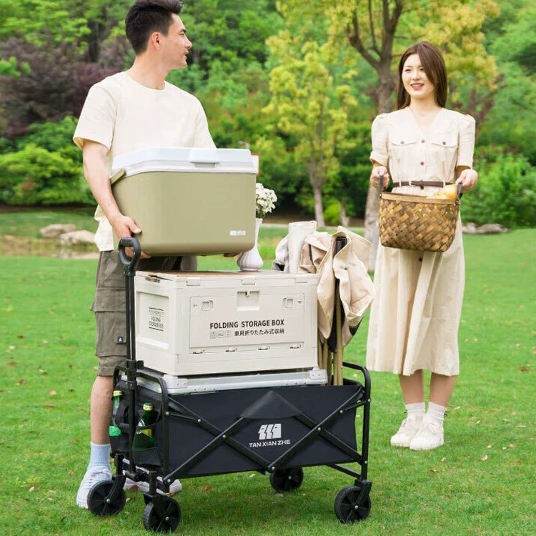 Explorer Cart