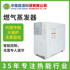 Zhonglong 環境保護省エネガス蒸発器メーカー天然ガス液化ガス小型ガス蒸発器ボイラー