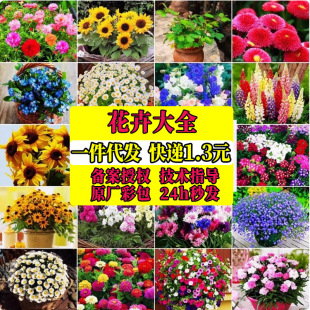 ̫ꖻ���ո��N���ܷN�Ӵ�ȫ�Nޱ��ɏ�M����޹�²����տ��̨����