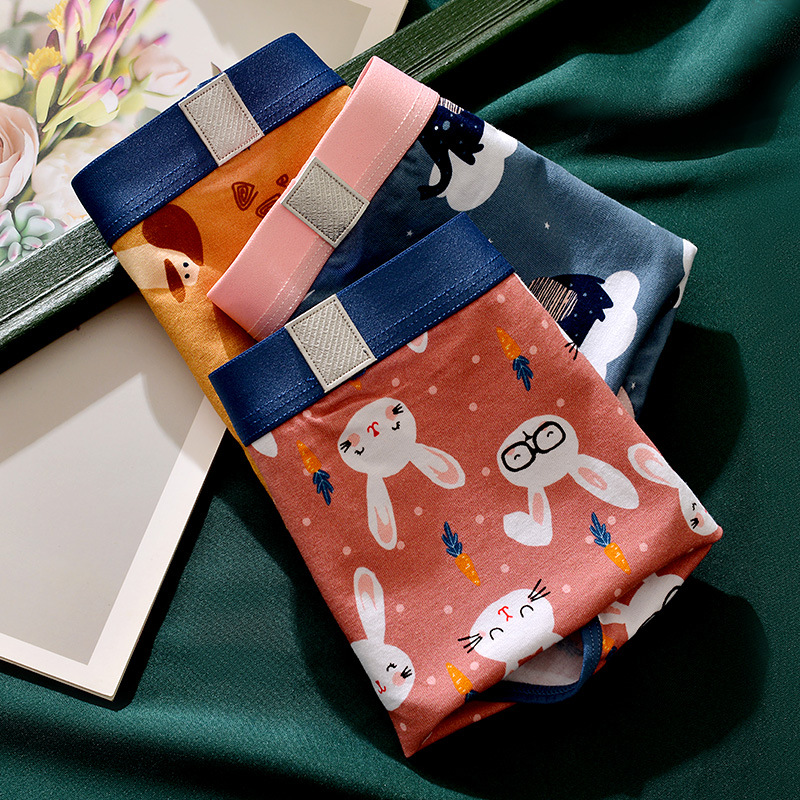 Illustrated Couple's Underwear Set Fun Print Cotton Medium Waist Men's Straight Pants Women's Triangular Pants Factory Standard