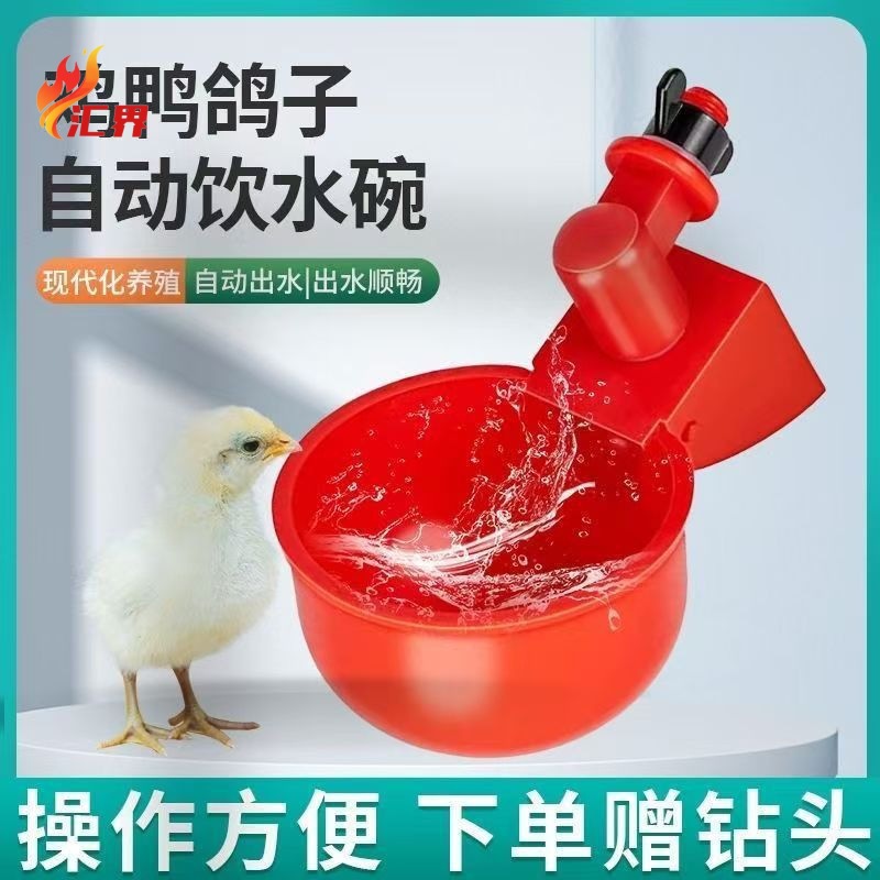 New Chicken and Duck Poultry Automatic Drinking Bowl for Feeding Chickens, Fully Automatic Water Feeding for Poultry, Pigeons and Quail Drinking Bowls and Drinkers