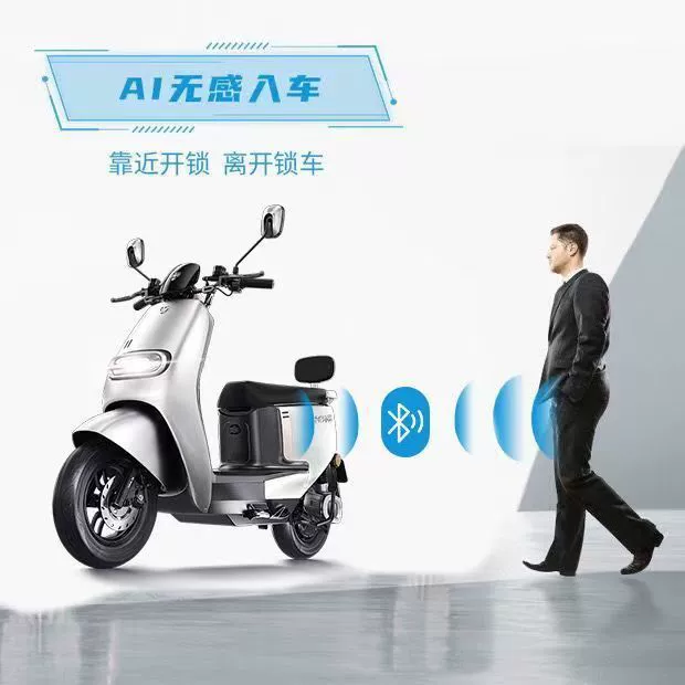 Электромобиль, старт с импульсом, сигнализация, bluetooth