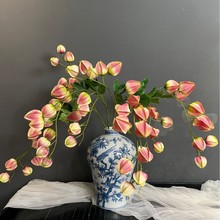 滨֦\ٻꐘӰg׻ˇ[czӰ