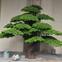 仿真玻璃钢松树迎客松大型室内外园林景区假树办公文化酒店造景