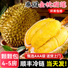 泰国金枕榴莲进口顺丰包邮新鲜水果一级整个箱应季10斤头巴掌肉大