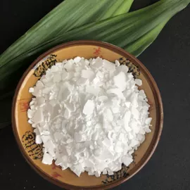 氯化物;碳酸盐;亚硫酸盐