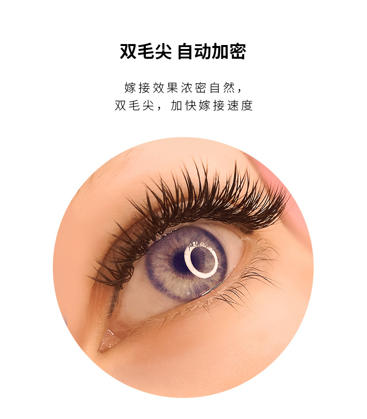 V扁嫁接睫毛 V扁嫁接睫毛