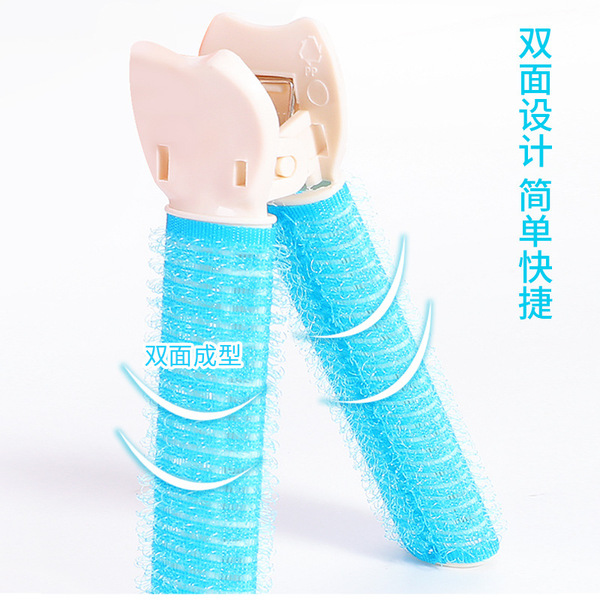 Hairgrip for head top