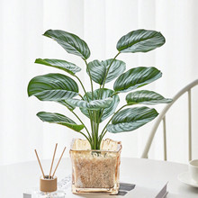 �����辰�͏d�b�������ϼٻ��[�O����ֲ��С��������GֲС����