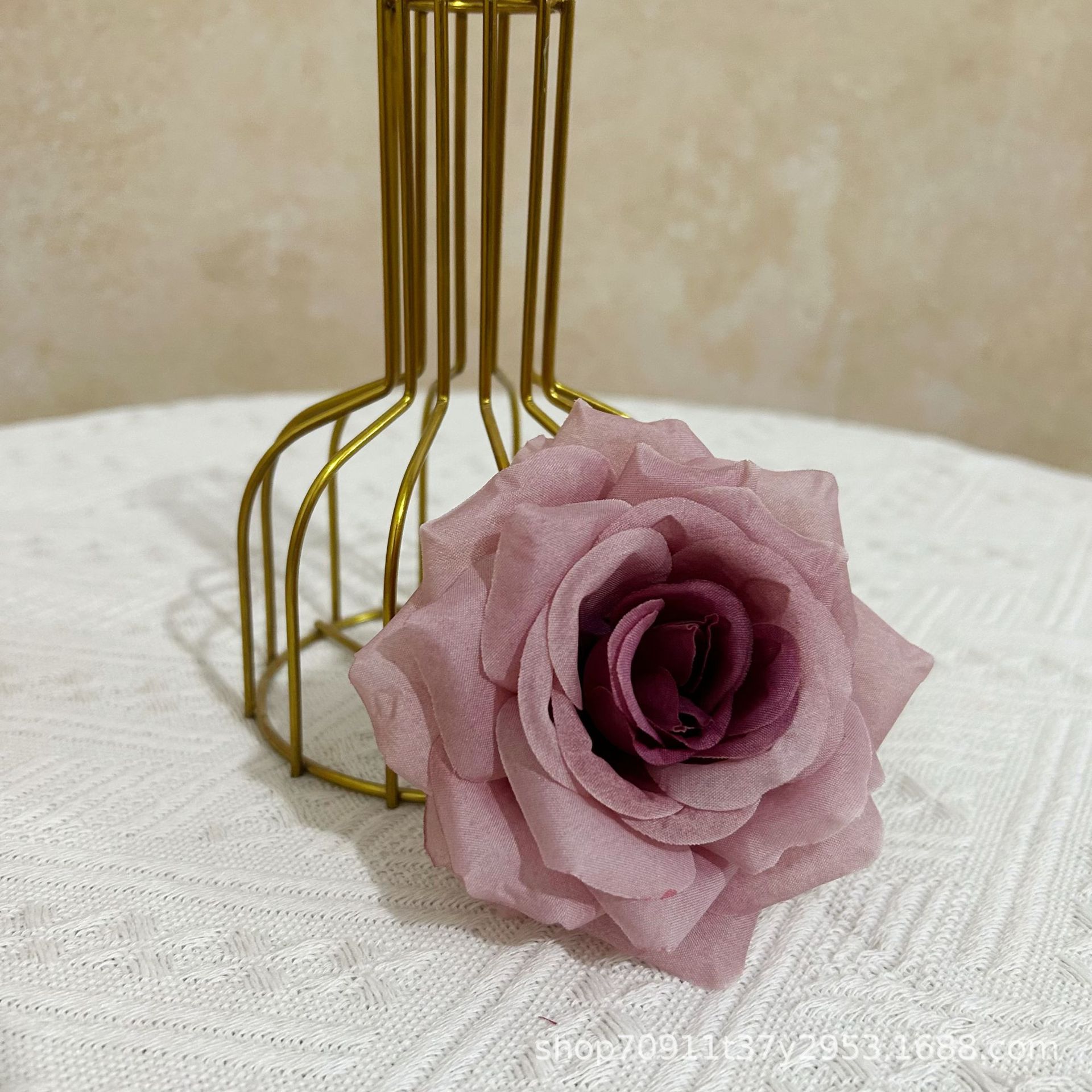 다이아몬드 로즈 헤드 콩 페이스트 컬러