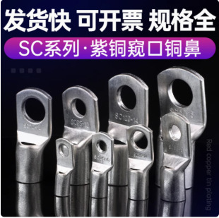 SC6/10/16/25/35/50/70/95~300 copper peep copper wiring nose tinned copper nose Grade B