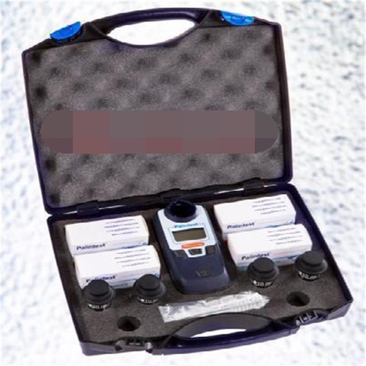 双量程氯量计氯离子浓度计（水晶版） 型号:BH011-PTH 027