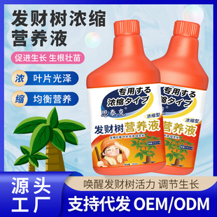 Stek fortune tree special nutrient solution flower fertilizer water cultivation potted plant nutrient solution factory wholesale fertilizer