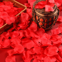 ���ٻ���һ���õ�廨����ײ��õ������Y���b��滨�궨��
