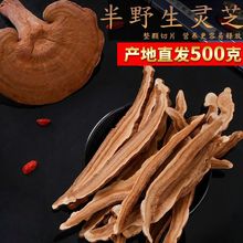 东北灵芝片长白山赤灵芝切片半野生灵芝切片林芝煲汤泡酒泡茶250g