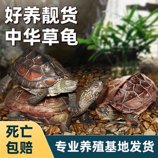 ���A�������wС������B�^�p����ˮ������������������