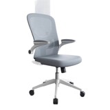 Компьютерное председатель офисного председателя много -функциональный поясничный поясничный кафедра кафедра председателя председателя Эргономического перевода Председатель Конференции Конференция