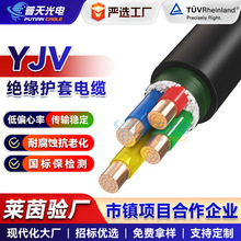 YJV绝缘电缆线国标铜芯2/3/4/5芯10平方家用三相四线新能源电力线