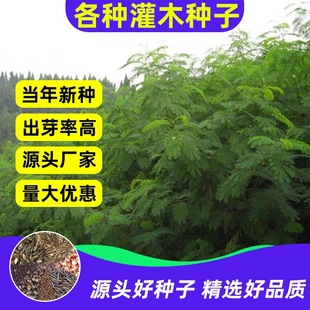 ���l��ľ�N�����뻱�̻��iʺ���໨ľ�m�y�Ϛg��·�G���o�¹�����