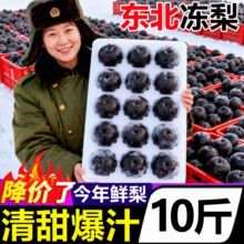 正宗冻梨东北大黑梨当季新鲜冻梨子10斤秋梨吉林特产苹果梨冰水果