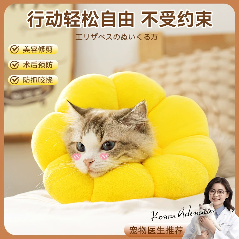 Кошачий подсолнух, наполняй ватную стерилизацию шеи