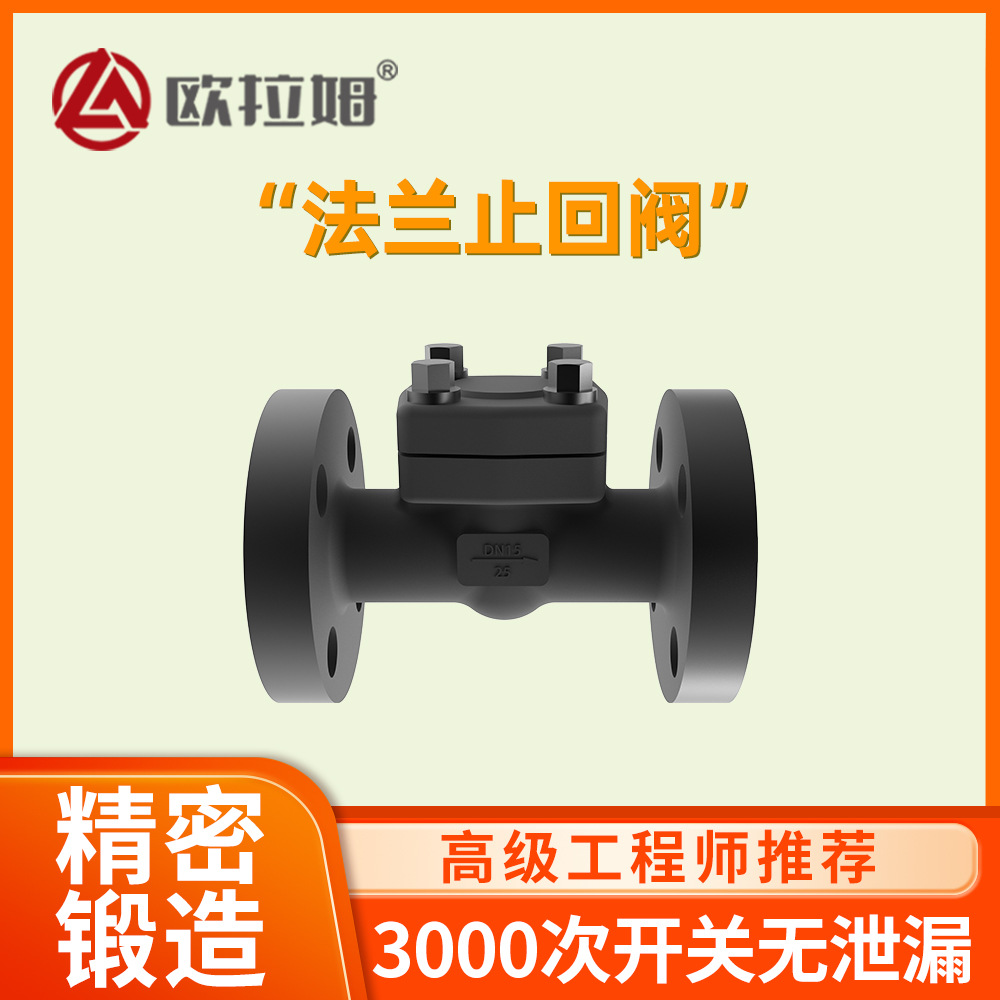 自力式法兰止回阀 H44H型号 国标小口径 模腔锻造 精度高 欧拉姆