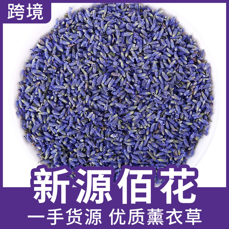 Directly from the Manufacturer: New Lavender from Yili, Xinjiang, in Bulk, Dried Herb Flowers, Filling for Sleep Pillow Sachets, Flower Tea Directly from the Manufacturer: New Lavender from Yili, Xinjiang, in Bulk, Dried Herb Flowers, Filling for Sleep Pillow Sachets, Flower Tea