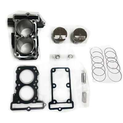 Versys X 250 Cylinder – Cylinder and parts