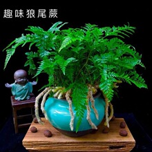 ��βާ΢�辰���_ާ������צ�҃�ֲ��ˮ���쾰�Gֲ�ļ�����