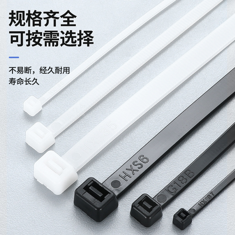 卸売りセルフロック式ナイロンバンド3*100 4*200 5*300 5*400束線帯プラスチックベルトpa 66|undefined
