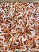 福建东山特产海捕烤剑虾干无盐即食海鲜干货滑皮虾干批发