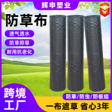 ���ƺ�ɫpp���ݲ��@ˇ�Nֲ���÷��ݲ��r�I������@���÷��ݲ��ز�