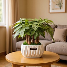 lֲؔ҃Ȼֲ҃ȻGֲ҃ȿ͏dBСl