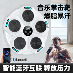 スマート音楽ボクシング壁ターゲット家庭用大人と子供のための打撃反応電子ターゲットトレーニング機器ボクシングトレーナー