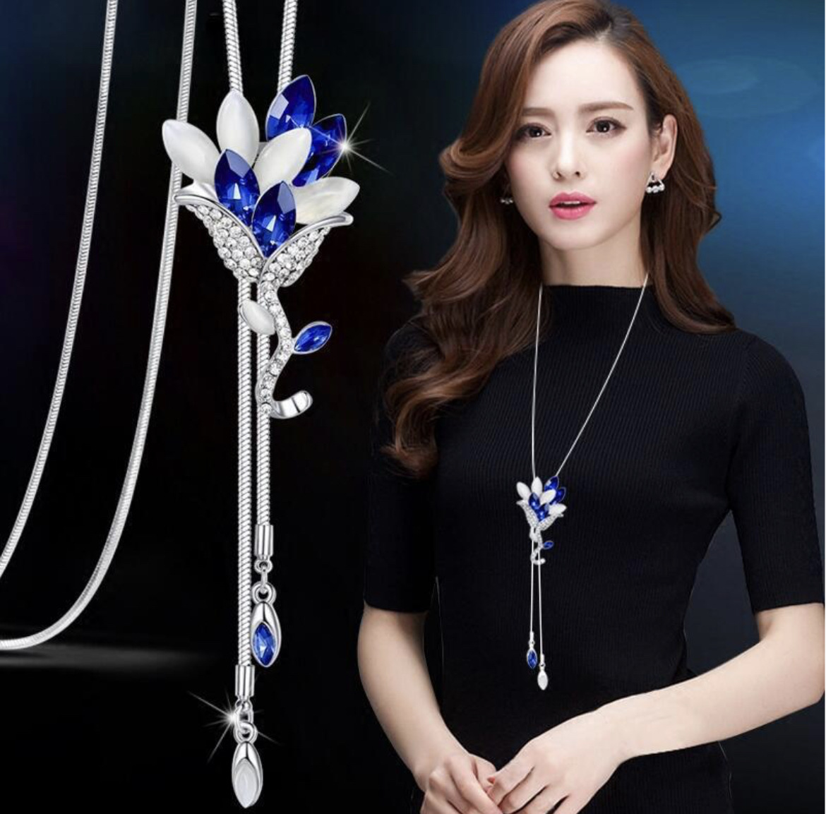 009 파란색과 흰색 고양이의 눈 장미