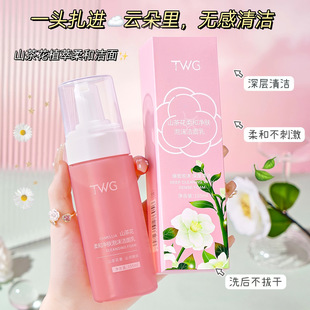 Twg Camellia Amino Acid Cleansing Mousse Foam Cleansing and Moisturizing Dense Foaming Facial Cleanser Wholesale