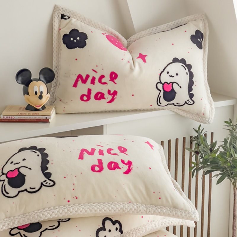 冬季类羊羔绒双面绒2024新款加厚牛奶绒枕套单人卡通儿童枕头套