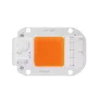 50w pink light