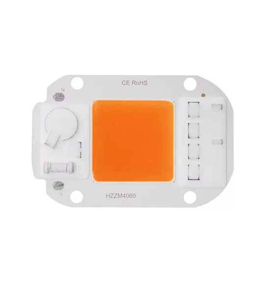 50w pink light
