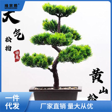 ӭ���ɼٻ����Լ��ɰ������辰�ɘ��҃ȾGɫֲ���b����潪��