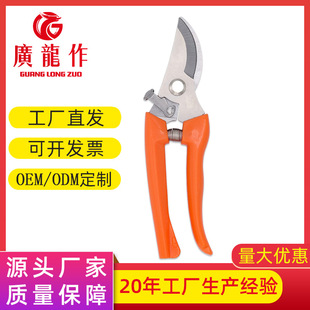 �S�����lʡ����֦���� �@ˇ���߹����֦�� ���P��B���ޘ����