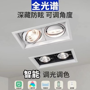 Full Spectrum Deep Anti-glare Spotlight Embedded Double-head Grille Light Normcore Main Light Household Commercial Engineering Bean Light