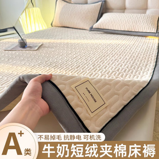 New Thickeneded Milk Velvet Mattress Winter Warm Coral Velvet Dormitory Single Home Bedroom Soft Cushion Quilt