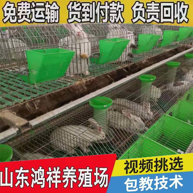 96af46ef-d359-45c6-8e1d-0f79dc